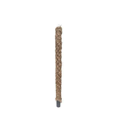 Moss stick plant support 32mmx60cm, , medium