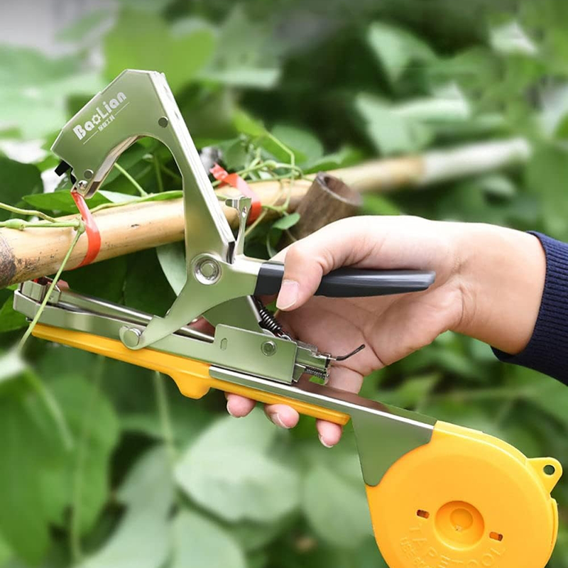 Ingco &delta;&epsilon;&tau;&iota;&kappa;ό &alpha;&mu;&pi;&epsilon;&lambda;&iota;&omicron;ύ hptm1258, , medium-null