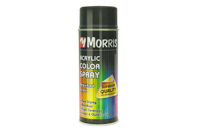 High gloss acrylic paint spray (a5498)