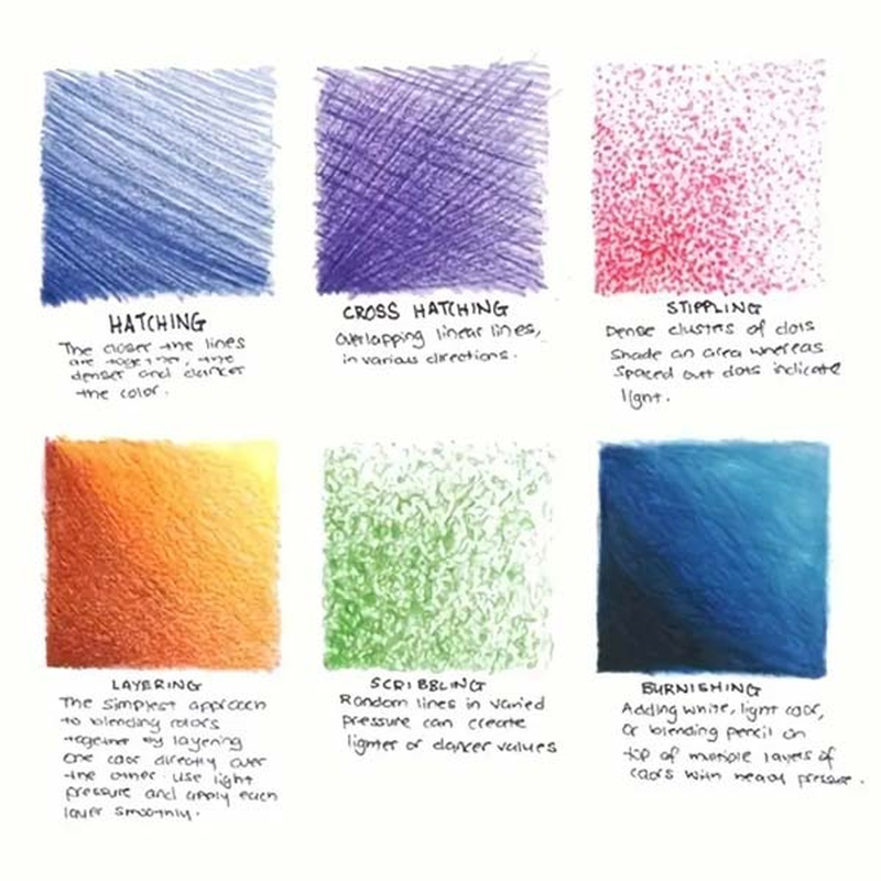 24 coloured pencils-null