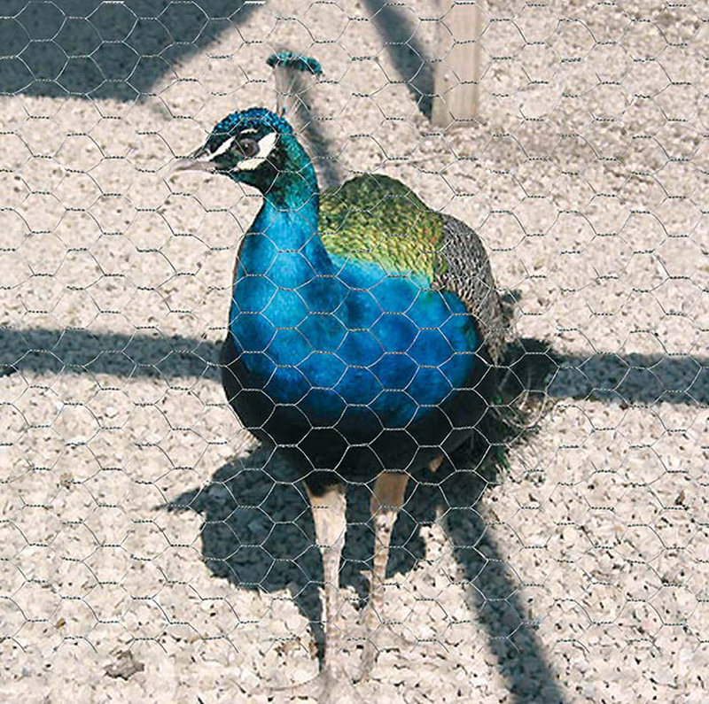 Product image: Verdemax metal hexagonal net 1x10 πρασινο, , medium-null