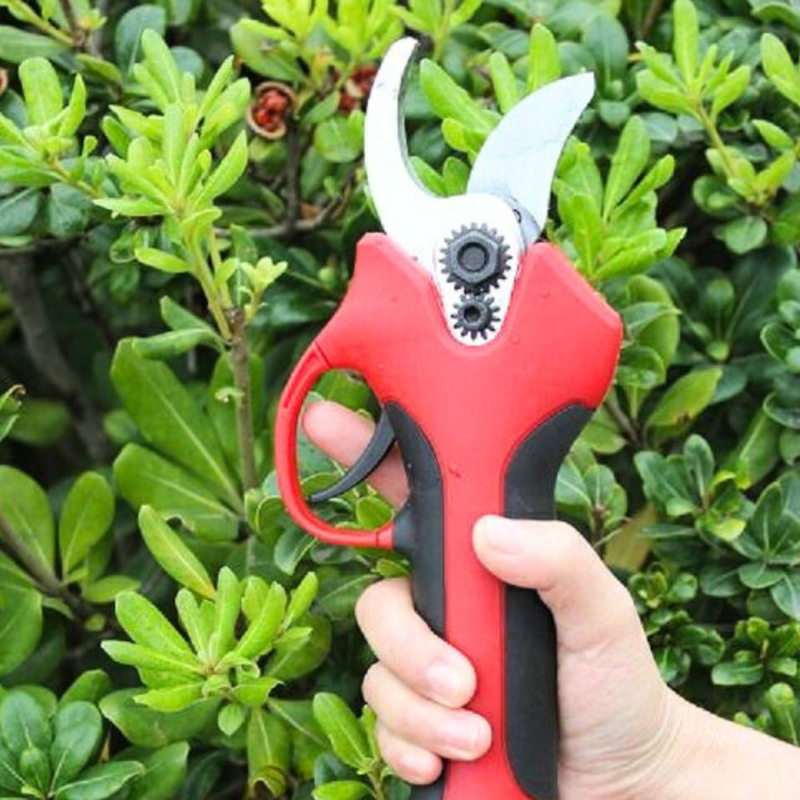 Product image: Kaokey ηλεκτρικό κλαδευτήρι με αντικραδασμική, αντιολισθητική και εργονομική λαβή, υψηλής ποιότητας πλαστικό κουτί αποθήκευσης, λιπαντικό λάδι και πέτρες ακονίσματος, , medium-null