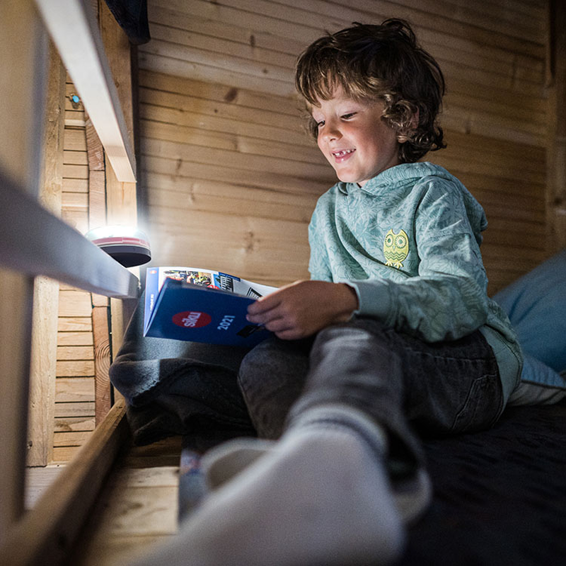 Ledlenser kidcamp6 led lantern-null