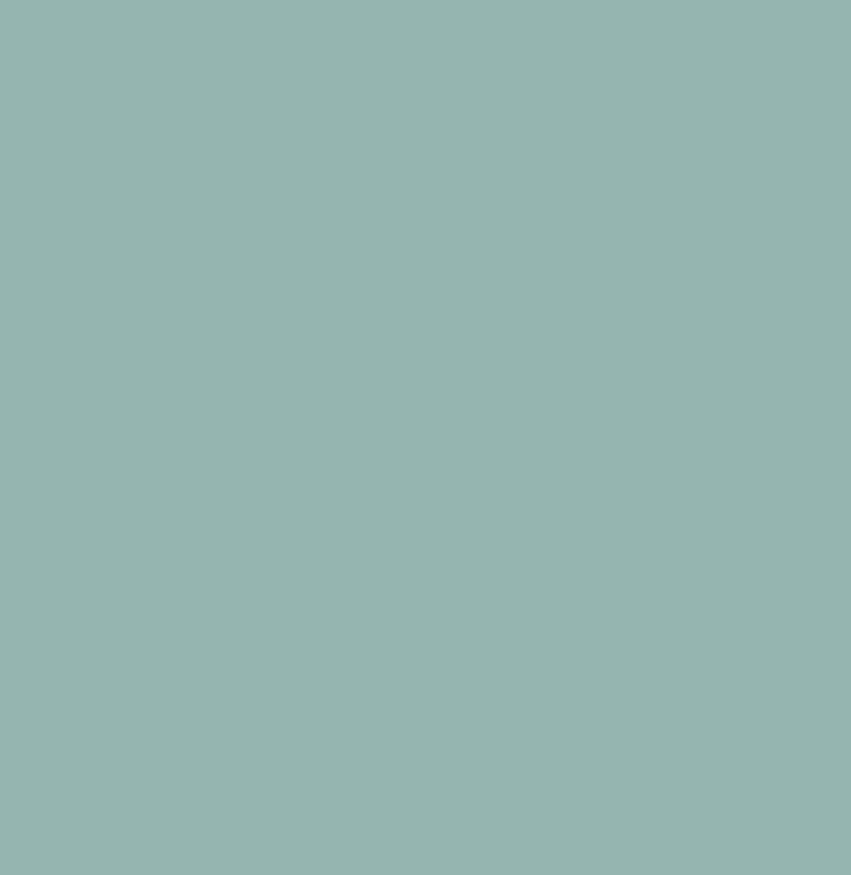 Product image: V33 red kitchen renovation paint-null