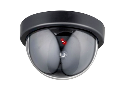 Grundig camera dummy dome black