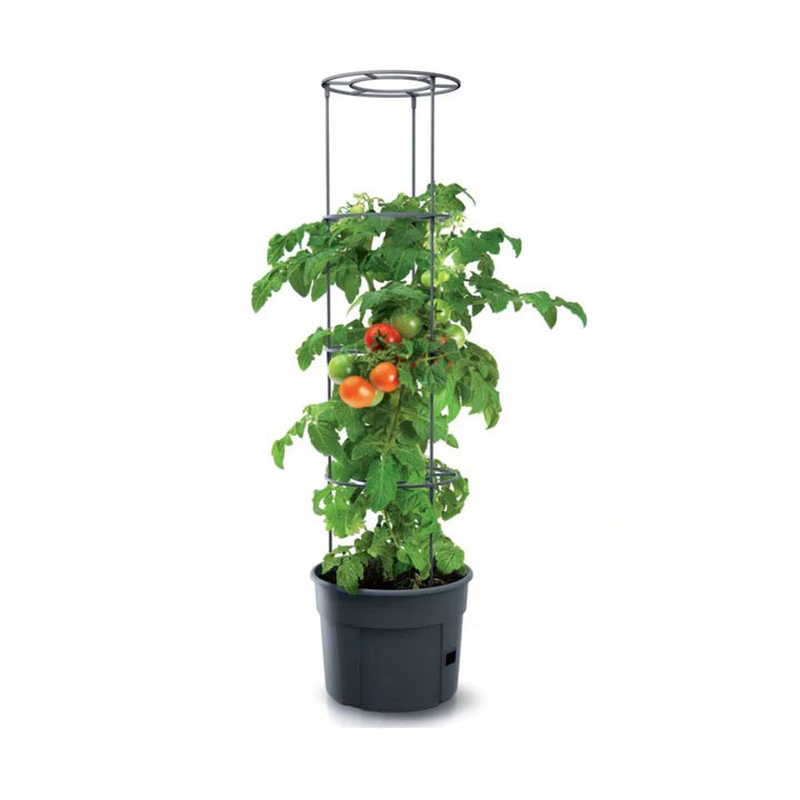 Tomato grower 28l anthracite, , medium image number null