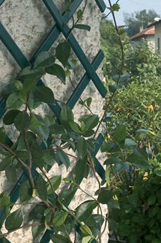 Product image: Expandable trellis 2mx0,5m green, , medium-null