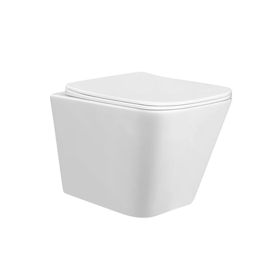 Paros rimless wall hung toilet