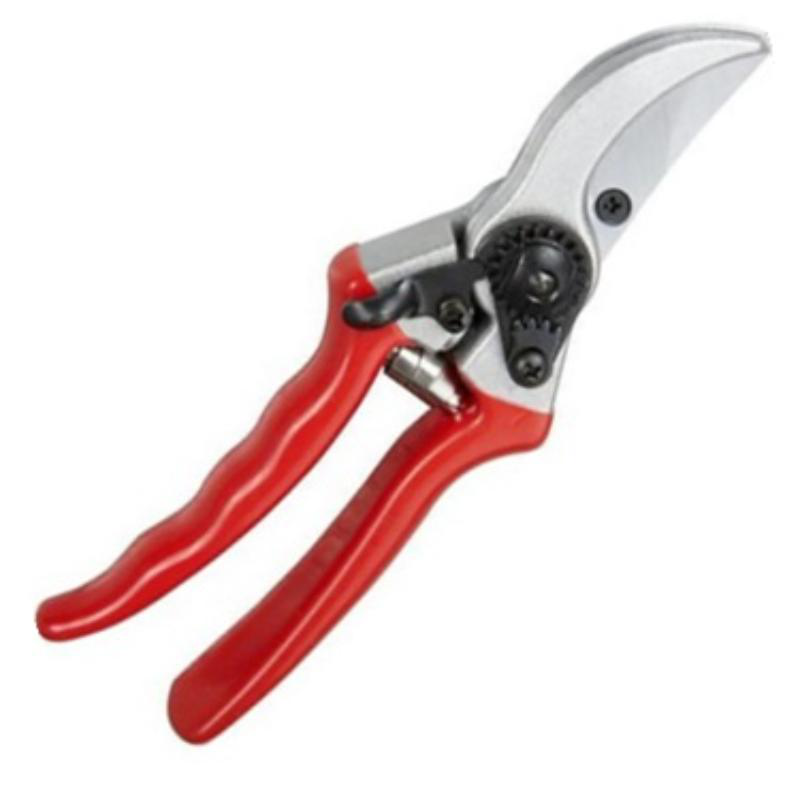 Product image: Super ψαλιδι κλαδεματος 8, , medium-null