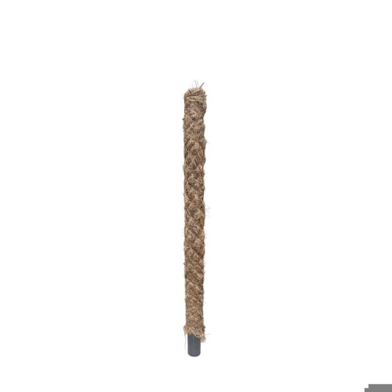 Moss stick plant support 32mmx80cm, , medium-null