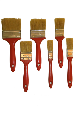 Eco p brush z109w 50
