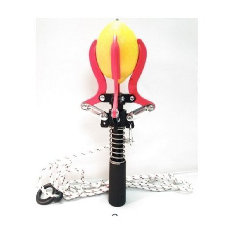 Product image: Συλλέκτης καρπών φρουτοσυλλέκτης κονταριού, , medium-null