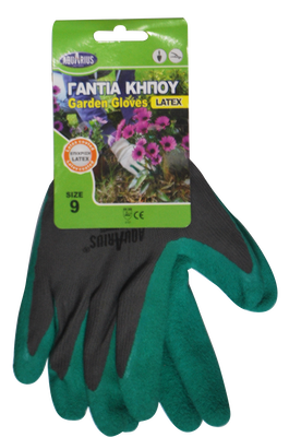 Aqurius &gamma;&alpha;&nu;&tau;&iota;&alpha; &kappa;&eta;&pi;&omicron;&upsilon; &lambda;&alpha;&tau;&epsilon;&xi;, , medium