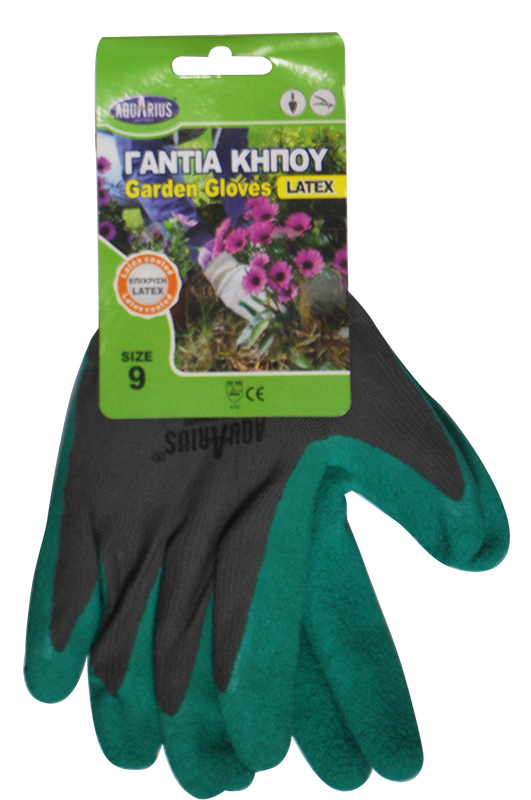 Aqurius &gamma;&alpha;&nu;&tau;&iota;&alpha; &kappa;&eta;&pi;&omicron;&upsilon; &lambda;&alpha;&tau;&epsilon;&xi;, , medium-null