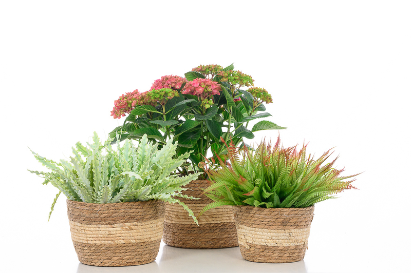 Basket - large, , medium image number null