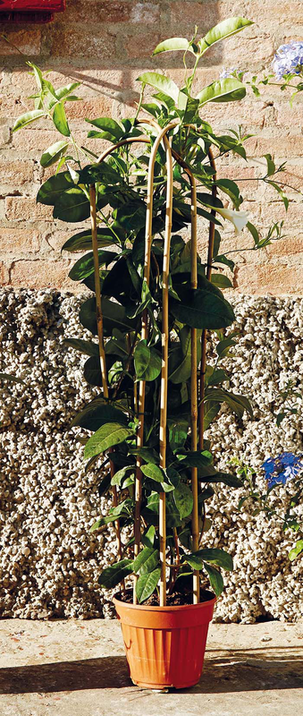 Verdemax bamboo u hoops 10-12mm 3pcs, , medium-null