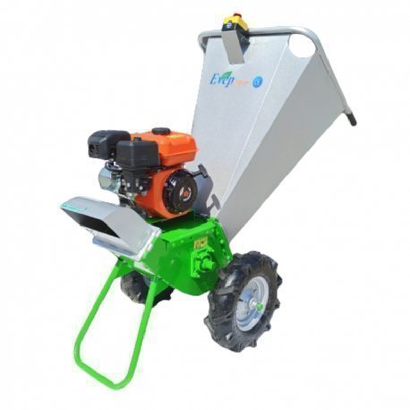 Product image: Θρυματιστης κλαδοφαγος, , medium-null