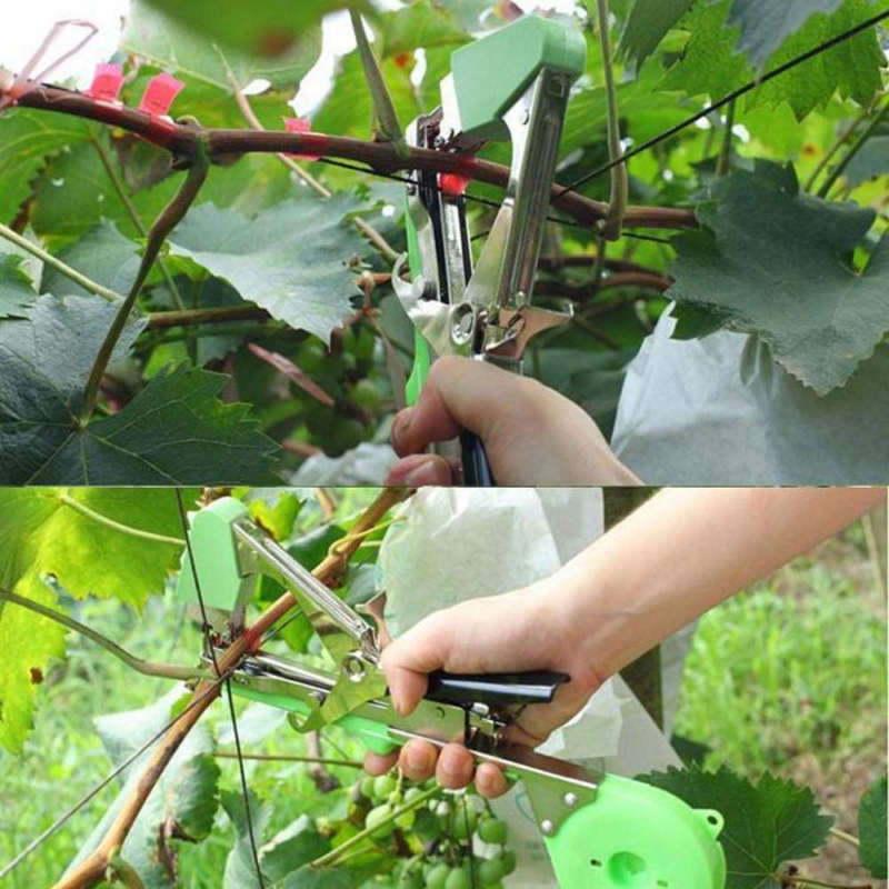 Product image: Εργαλείο για δέσιμο αμπελιού και φυτών για στήριξη & την υγιή ανάπτυξή τους!, , medium-null