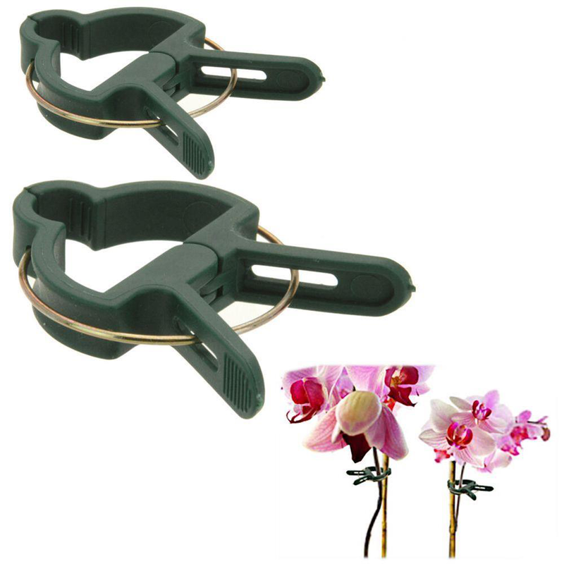 Product image: Prograden plant clip 20pcs, , medium-null