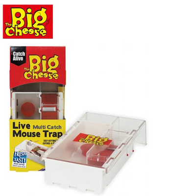 Big cheese multi-catch mouse trap