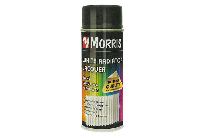 White paint  spray for radiator (028616)-null