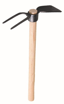 Champion garden  hoe wooden handle, , medium