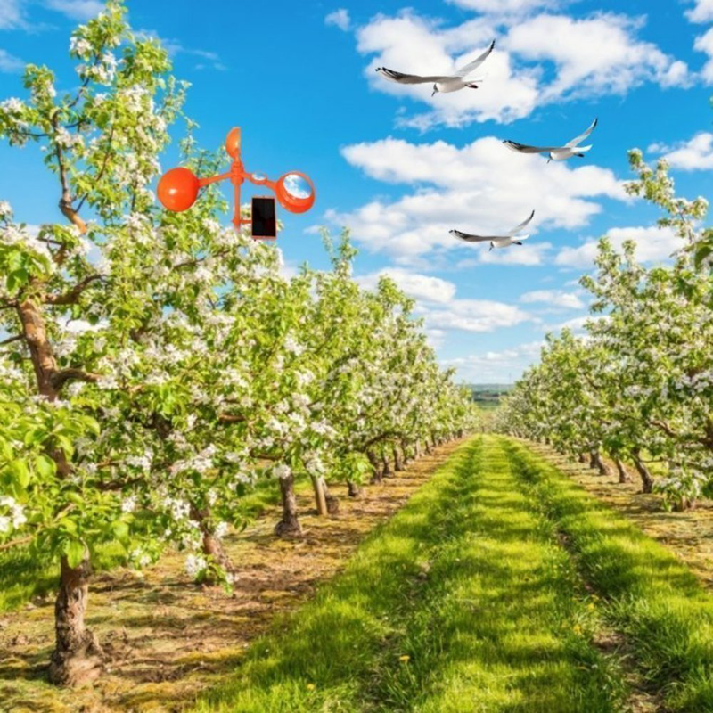 &Eta;&lambda;&iota;&alpha;&kappa;ό &alpha;&pi;&omega;&theta;&eta;&tau;&iota;&kappa;ό &gamma;&iota;&alpha; &pi;&omicron;&upsilon;&lambda;&iota;ά &kappa;&alpha;&iota; &pi;&alpha;&rho;ά&sigma;&iota;&tau;&alpha; &mu;&epsilon; &kappa;ί&nu;&eta;&sigma;ή &kappa;&alpha;&iota; ή&chi;&omicron;-null