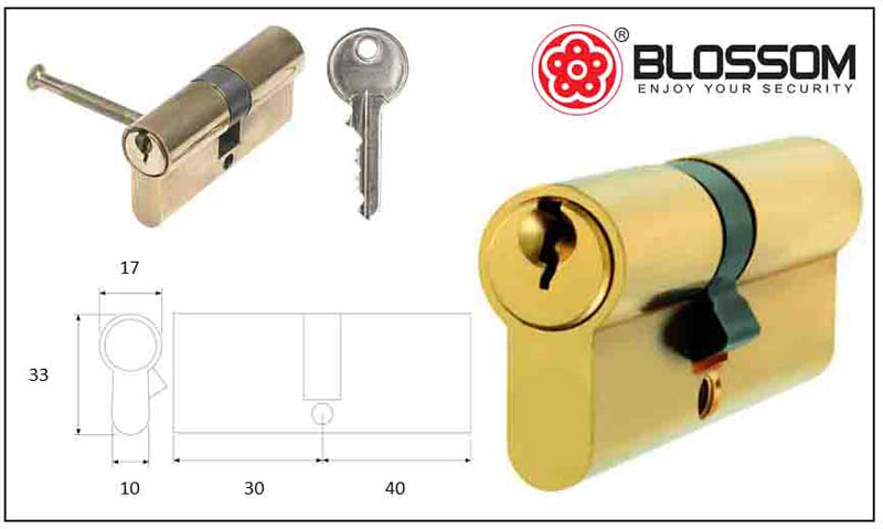 Blossom cylinder doors 30x40 brass, , medium image number null
