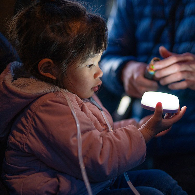 Ledlenser kidcamp6 led lantern-null