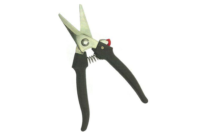Straight scissor  (077115)-null