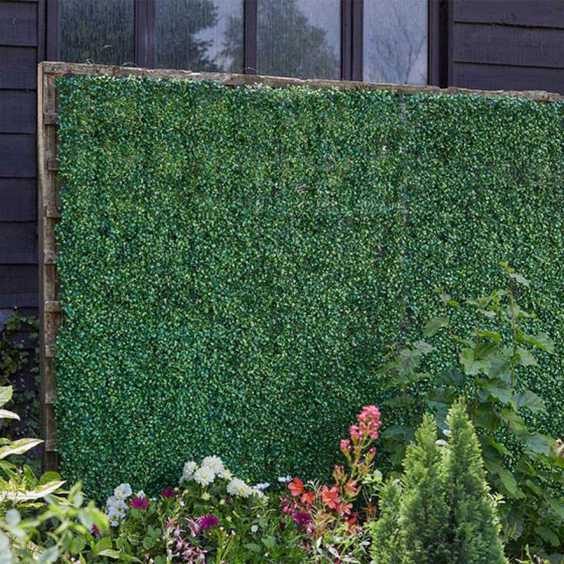 Product image: Boxwood screening panel 60x40cm, , medium-null