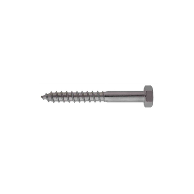 Friulsider hex head screw din 571 s/s 10x100
