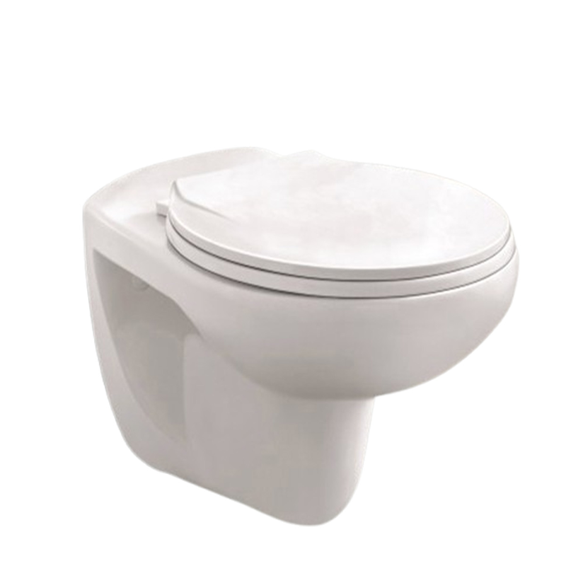 Inter ceramic white back to wall toilet hanging 5335, , medium-null