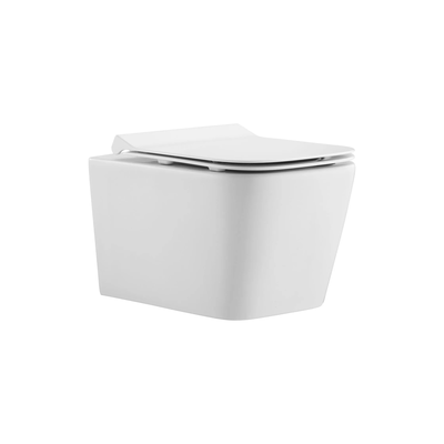 Rama rimless complete wall hung toilet, , medium