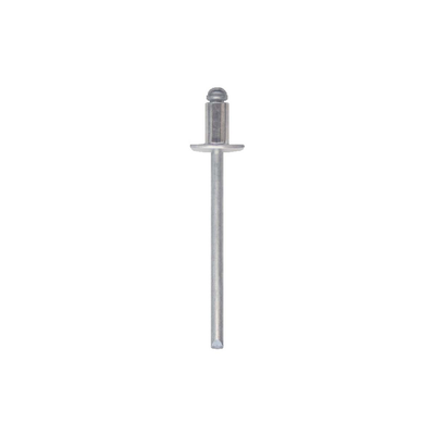 Friulsider rivet 3x14mm 100pcs