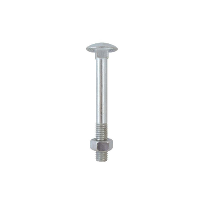 Friulsider walnut with nut 6x80mm euroblister 10 pcs