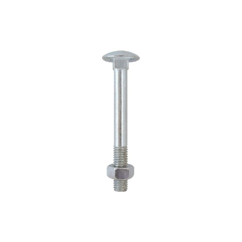 Friulsider walnut with nut 6x80mm euroblister 10 pcs image number null
