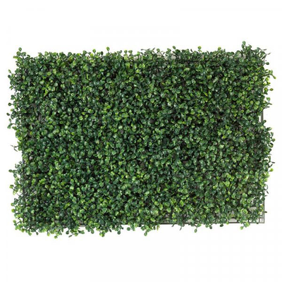 Boxwood screening panel 60x40cm, , medium