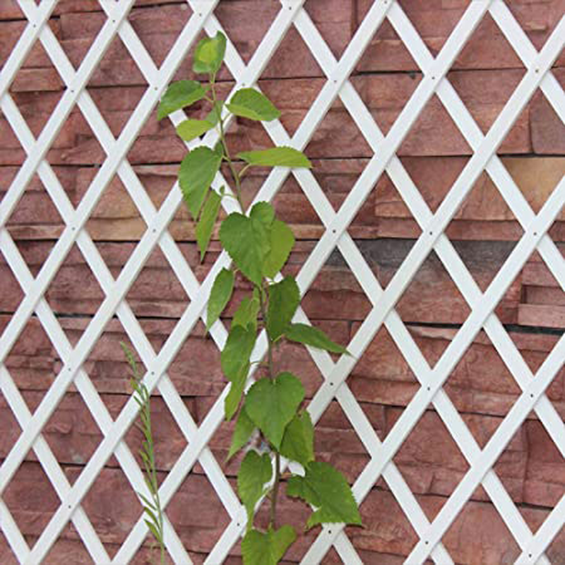 Expandable trellis 2mx1m white, , medium-null