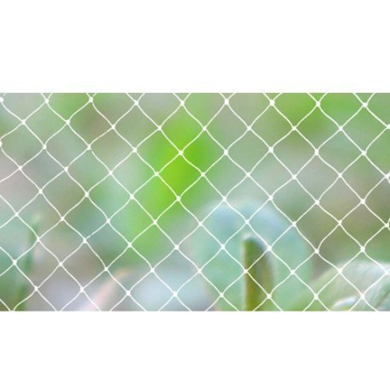 Anti-bird protection net, , medium-null