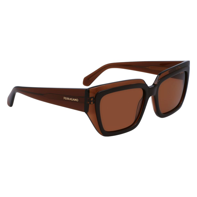 Brown acetate sunglasses-null