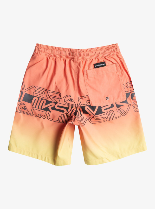 Quiksilver boy swimwear everyday wordblock vl youth 16 (eqbj-null