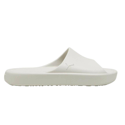 Shibui cat, Grey, medium