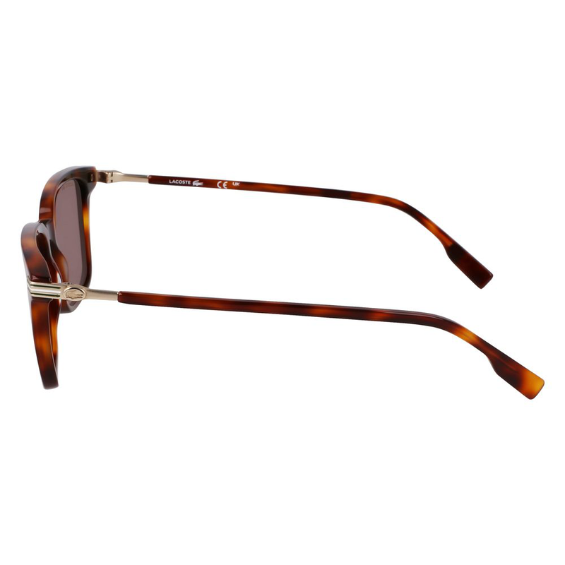 Brown acetate sunglasses-null