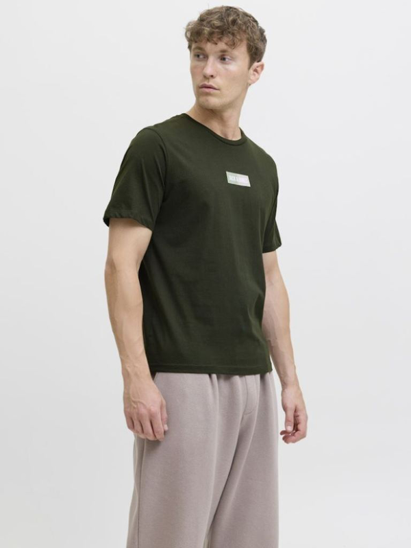 Jackjones jjpan tee ss crew neck-null