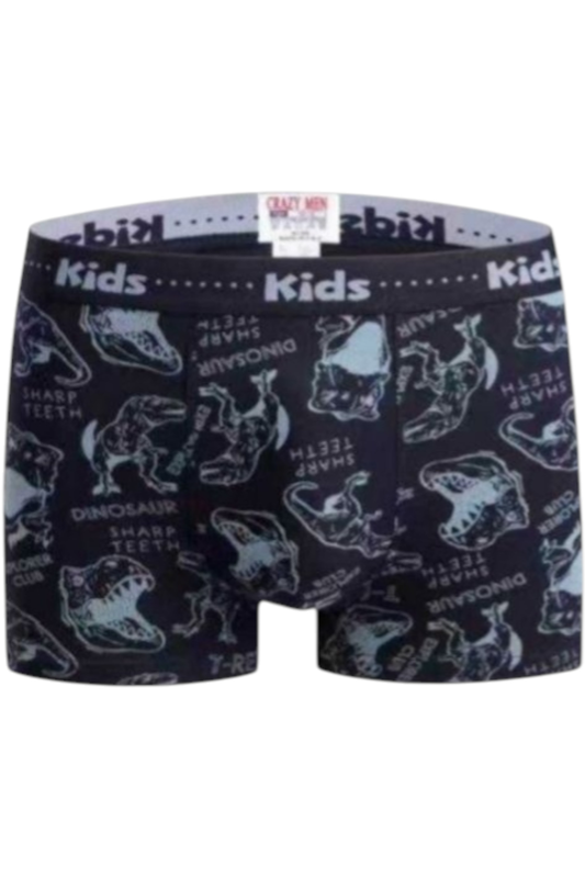 Childrens boxer shorts #089-null
