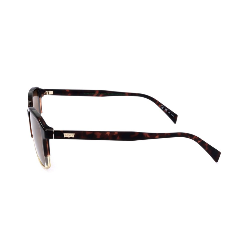 Black resin sunglasses-null
