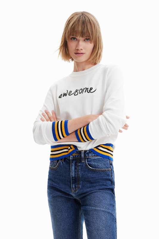 Awesome jumper desigual image number null