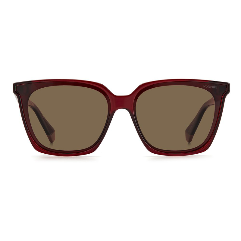 Multicolor plastic sunglasses-null
