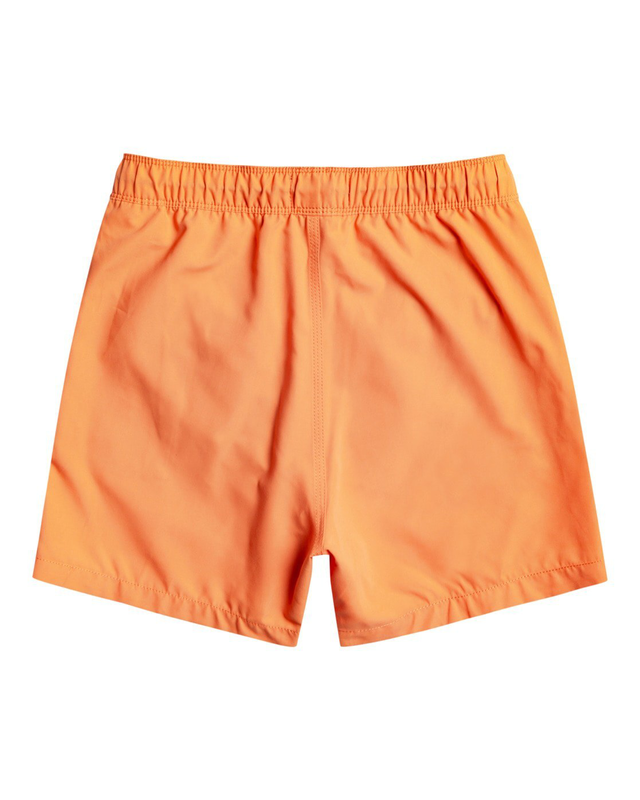 Product image: Billabong boy swimwear all day lb (ebbjv00104-org)-null